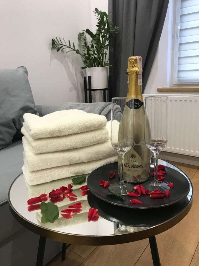 Apartament Przy Promenadzie Jelenia Góra Extérieur photo
